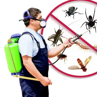 pest control Pickerington